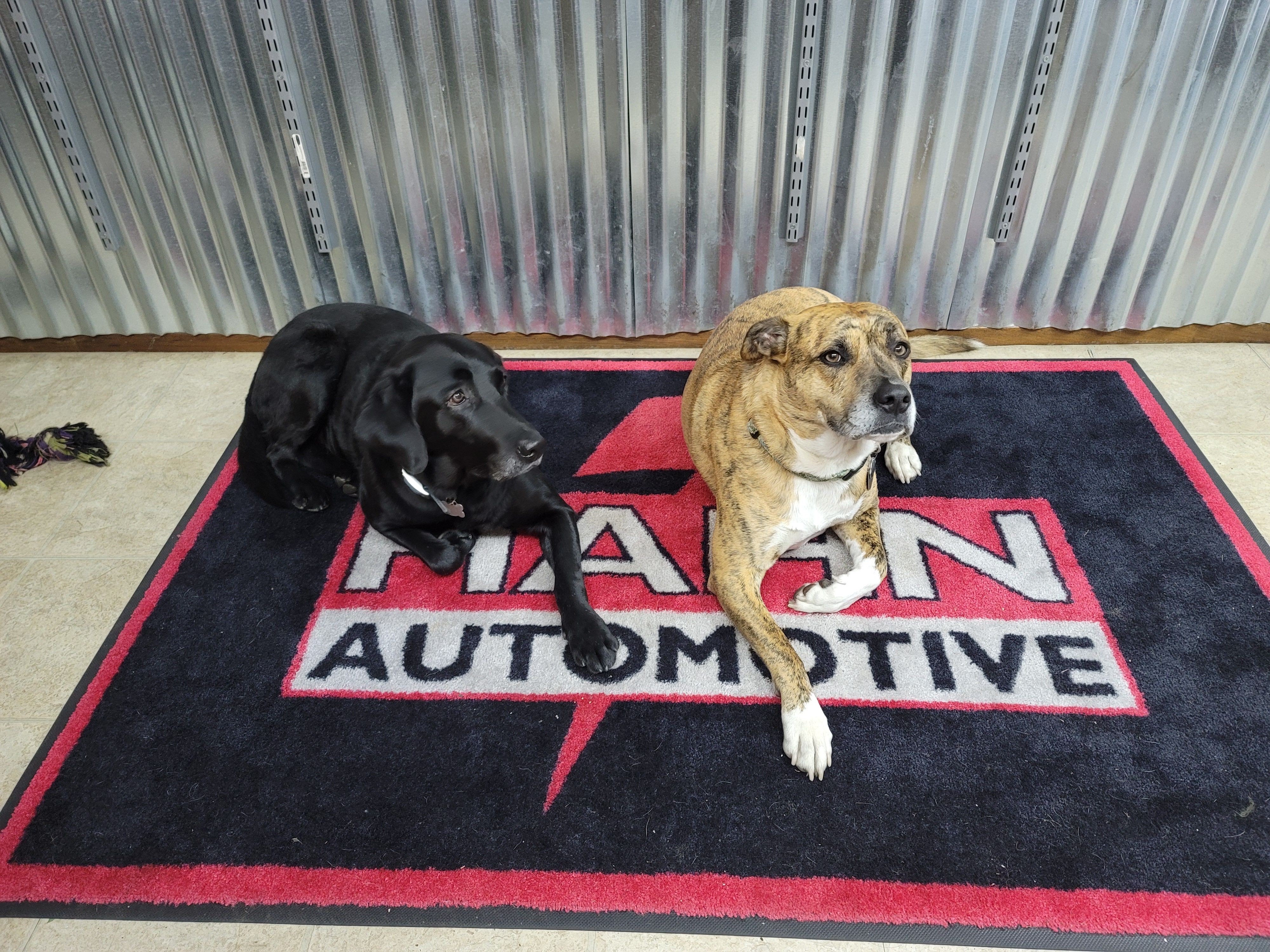 Hahn Automotive shop interior with branded floor mat